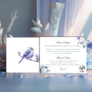 Winter wonderland quinceaƱera lluvia de sobres front back view